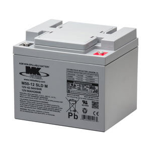 Group 22 - 50Ah Flat Top Pair